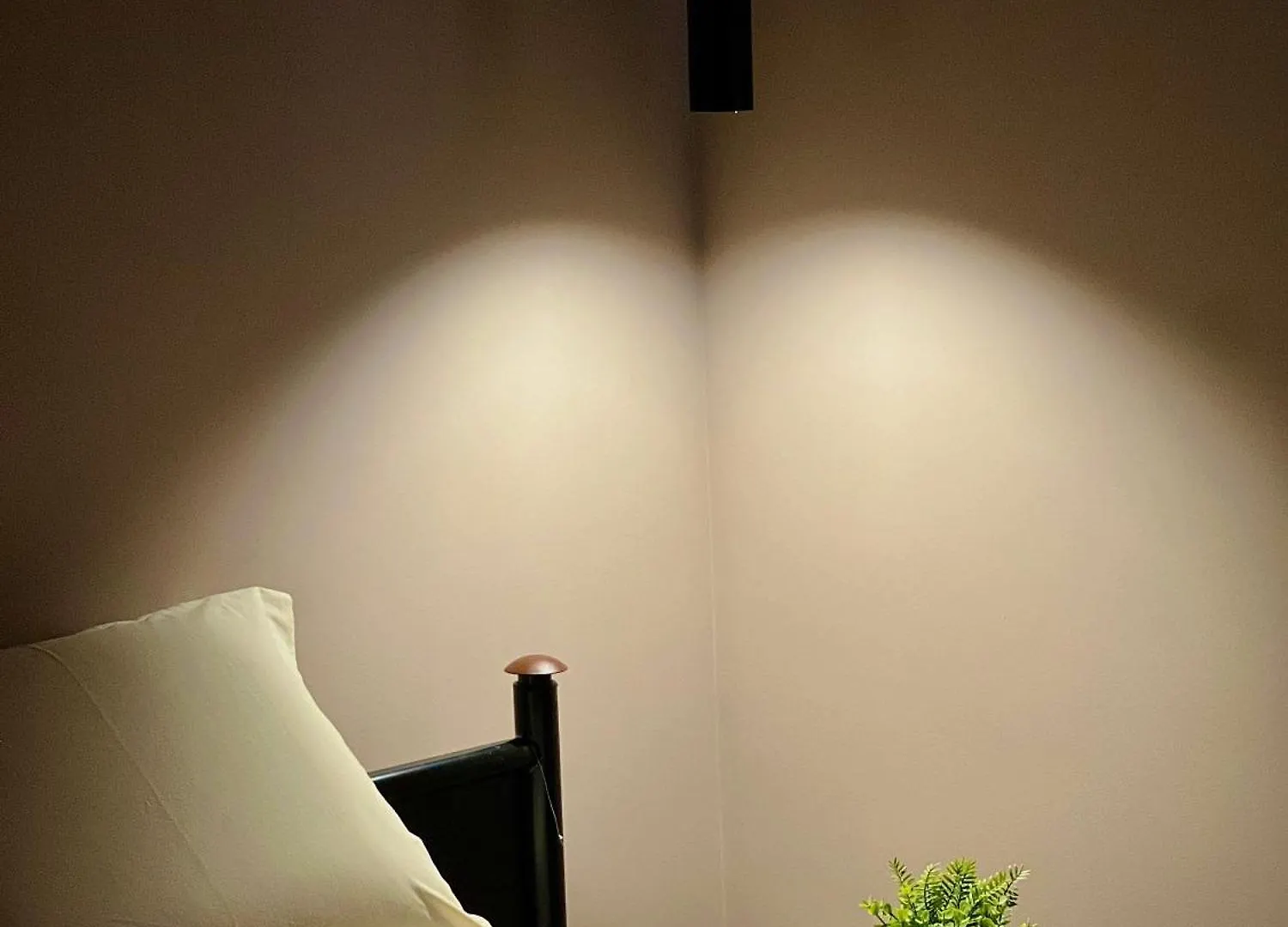 Rex Hotel Boutique 티라나