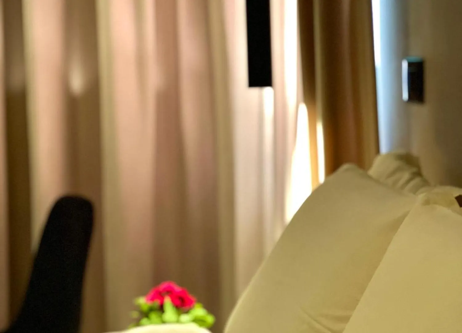 Rex Hotel Boutique 티라나 알바니아